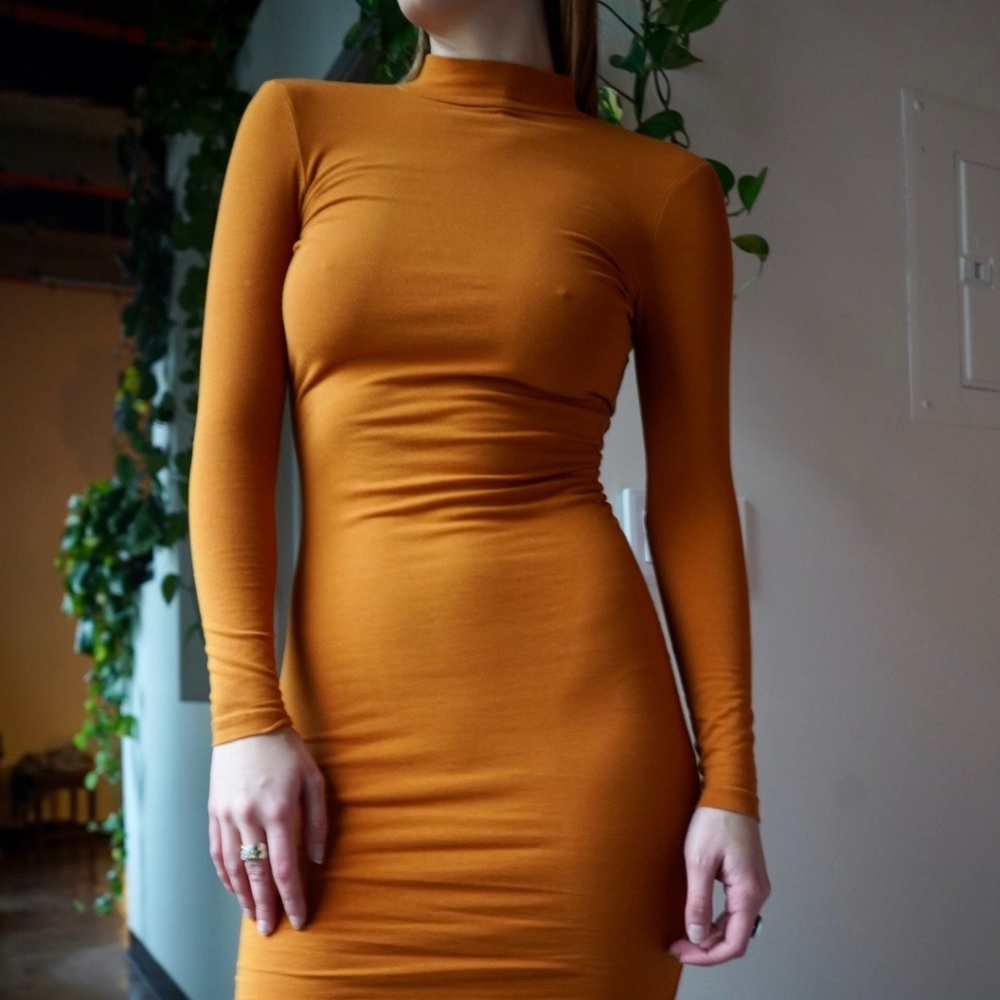 American Apparel Ryder Dress